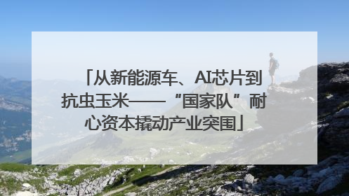 从新能源车、AI芯片到抗虫玉米——“国家队”耐心资本撬动产业突围